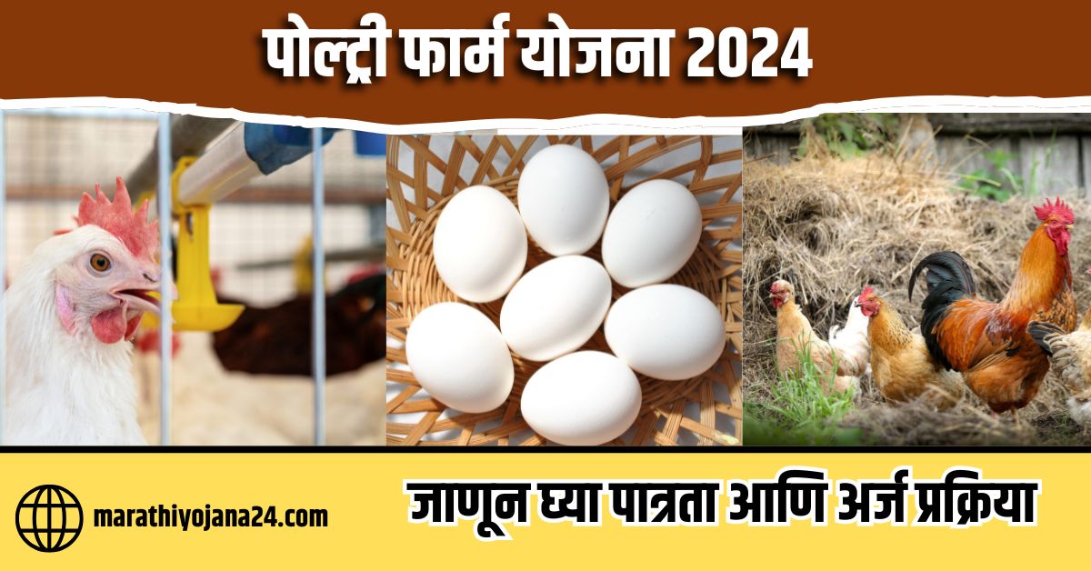 Poultry Farm Loan Scheme 2024