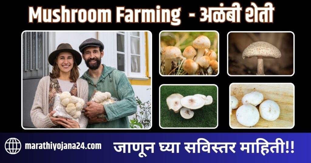 Mushroom Farming 2024