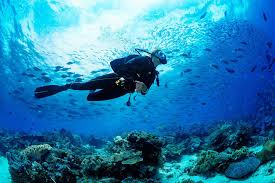 Scuba diving