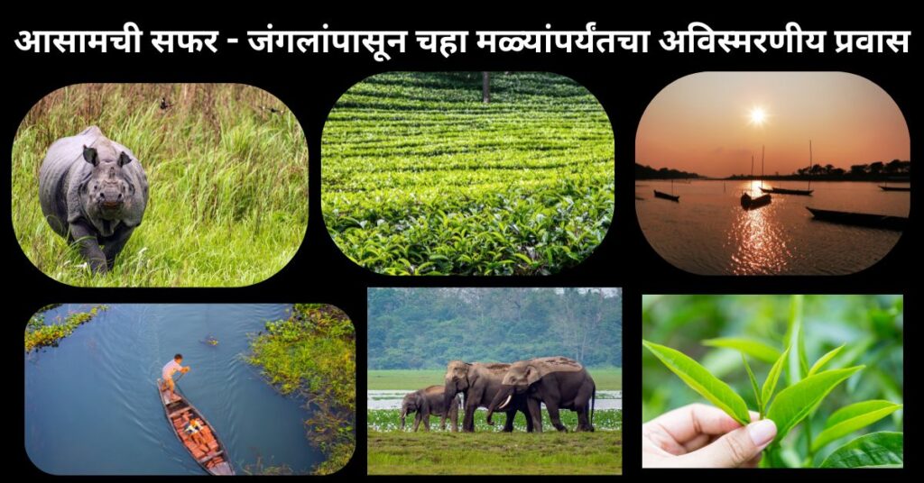 आसामची सफर - जंगलांपासून चहा मळ्यांपर्यंतचा अविस्मरणीय प्रवास