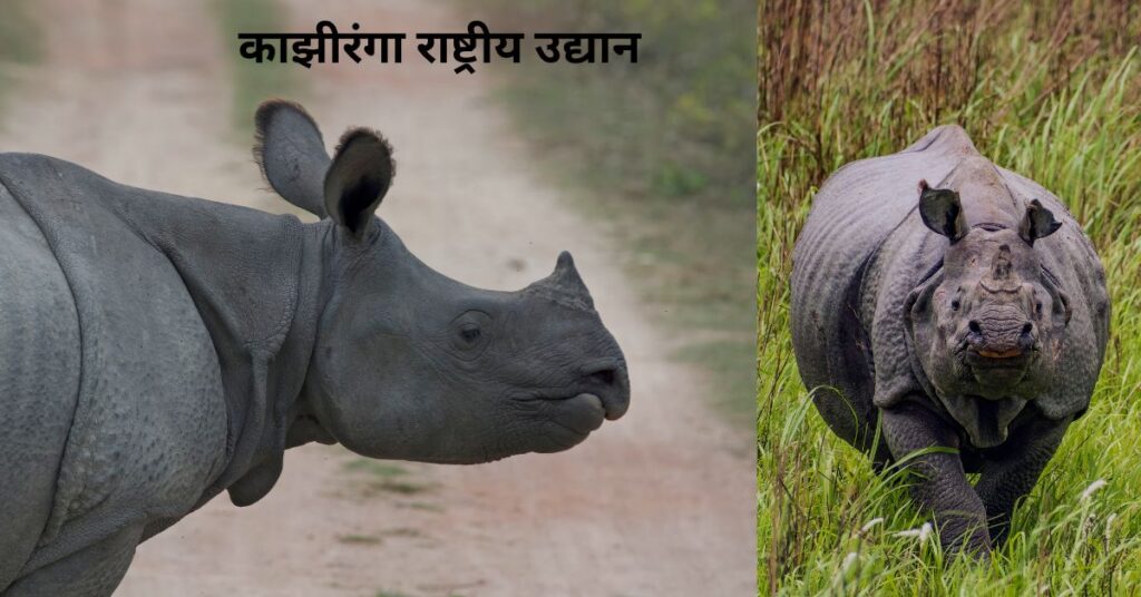 एकशिंगी गेंड्यांचे जगप्रसिद्ध अभयारण्य