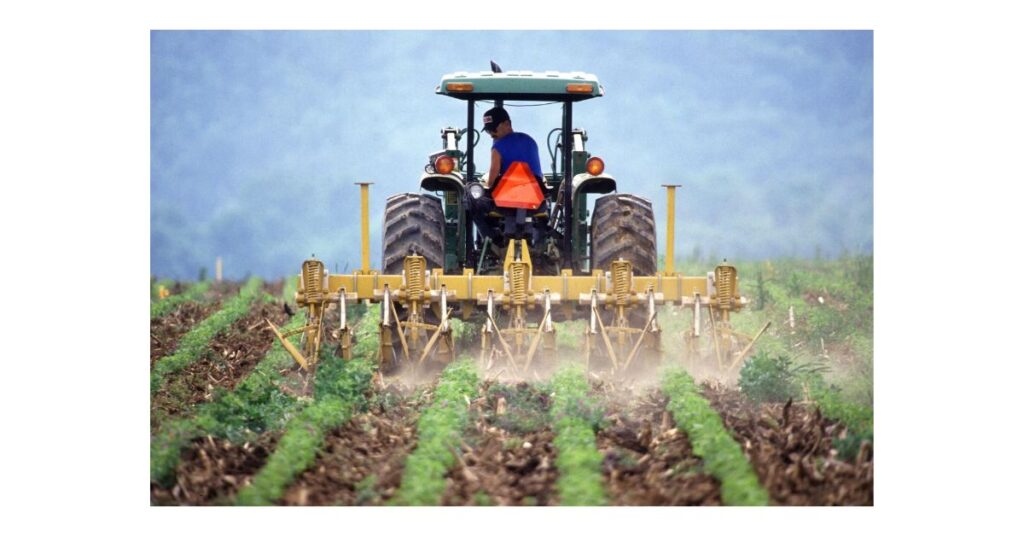New 2025 Digital Marketplace for Farmers!